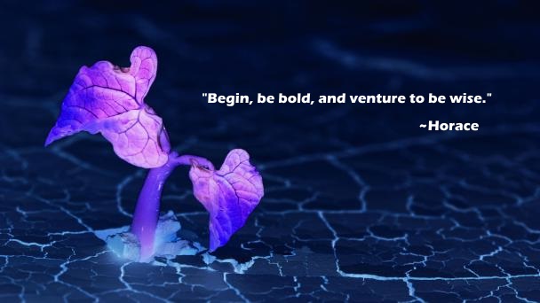 Begin and be bold